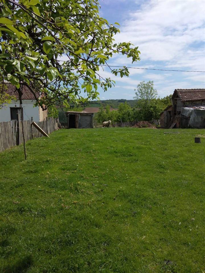 Seosko-domacinstvo