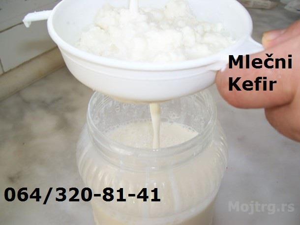 Mlecni Kefir Kefirna Zrnca Tibetanska Gljiva Beograd