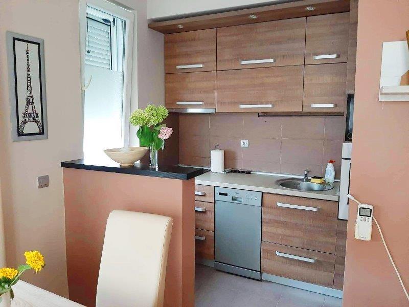 Izdavanje--Jednoiposoban-stan-40m2--Palilula