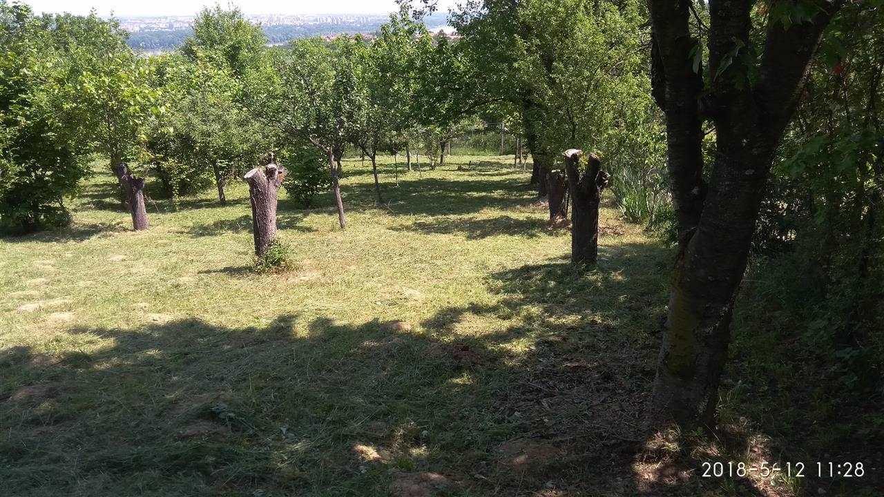 Kosenje-trimerom-kosilicom