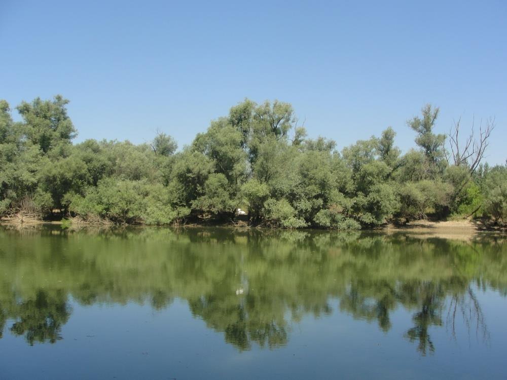 Kuca--plac-uz-Savu-na-prodaju