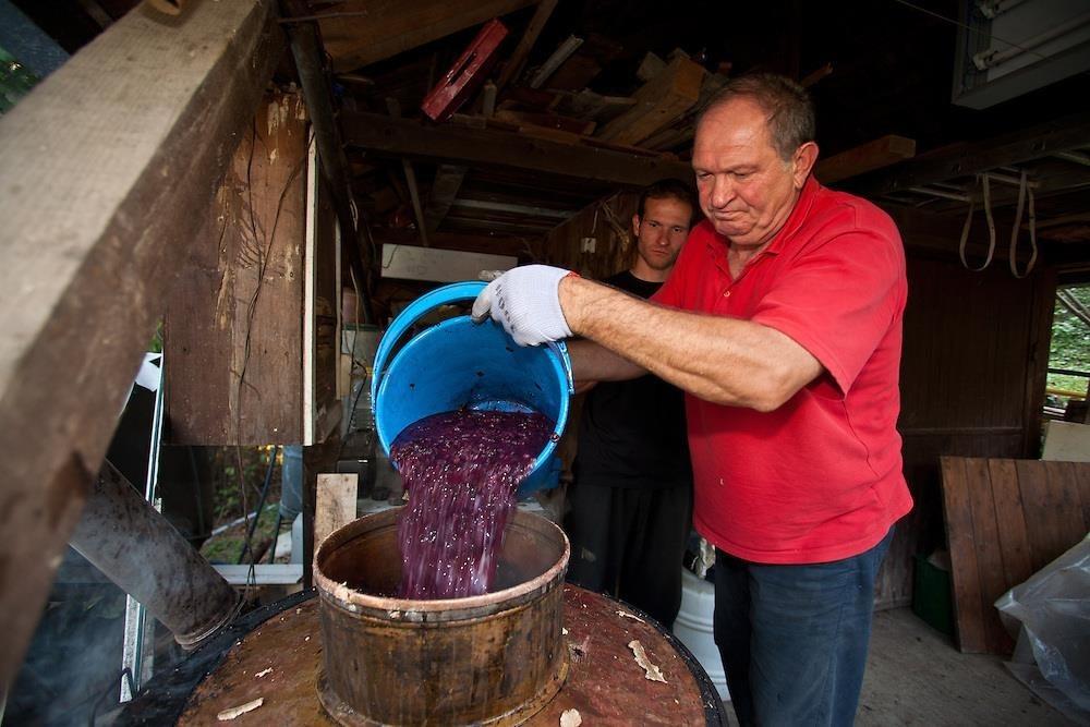 DOMACA-RAKIJA-SA-PODRUCIJA-Šumadije
