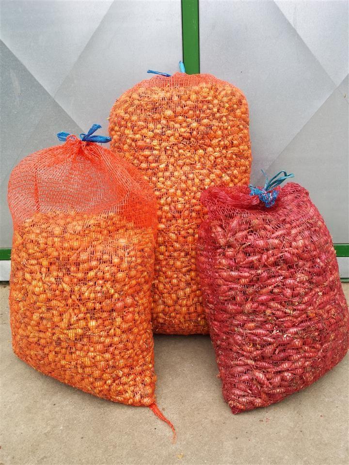 Arpadzika