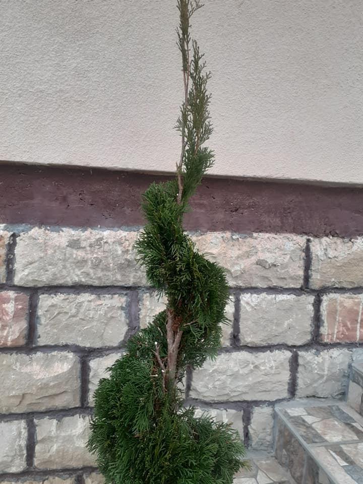 Uksavanje-dvorista