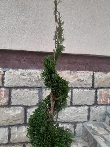 Uksavanje dvorista