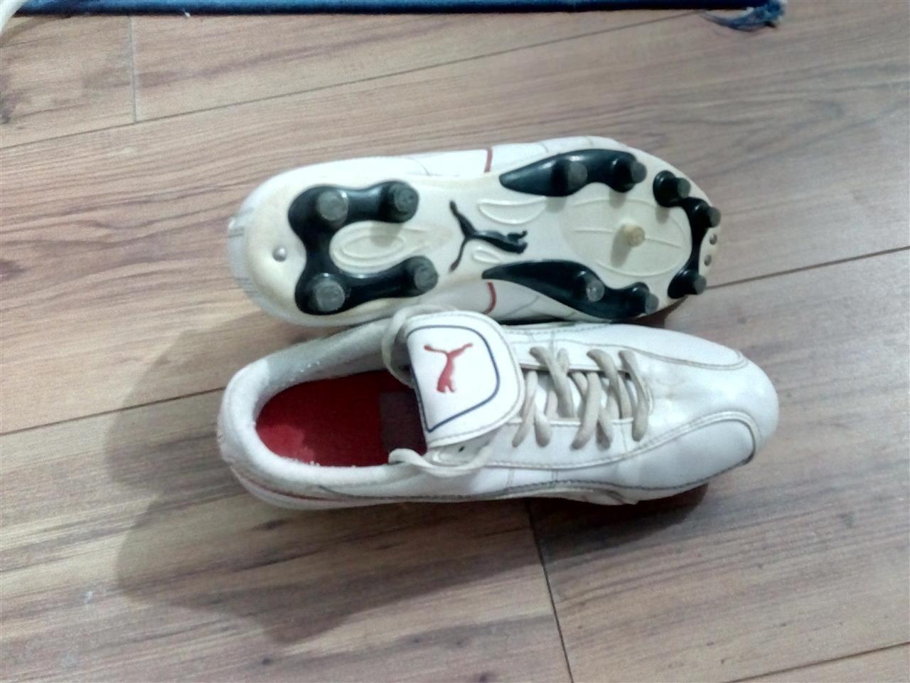 Kopacke-Puma