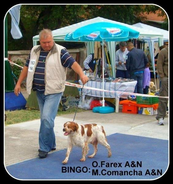 Epanjel-Breton