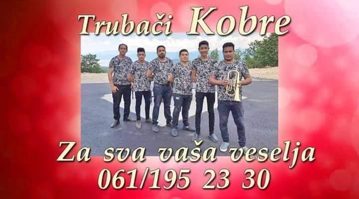 Trubaci