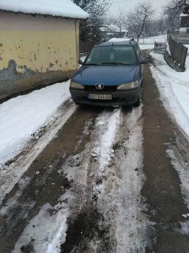 Pezo 306