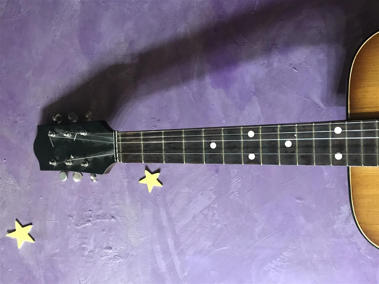 Poljska-gitara