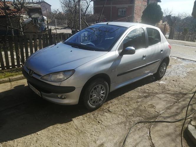 Pezo 206