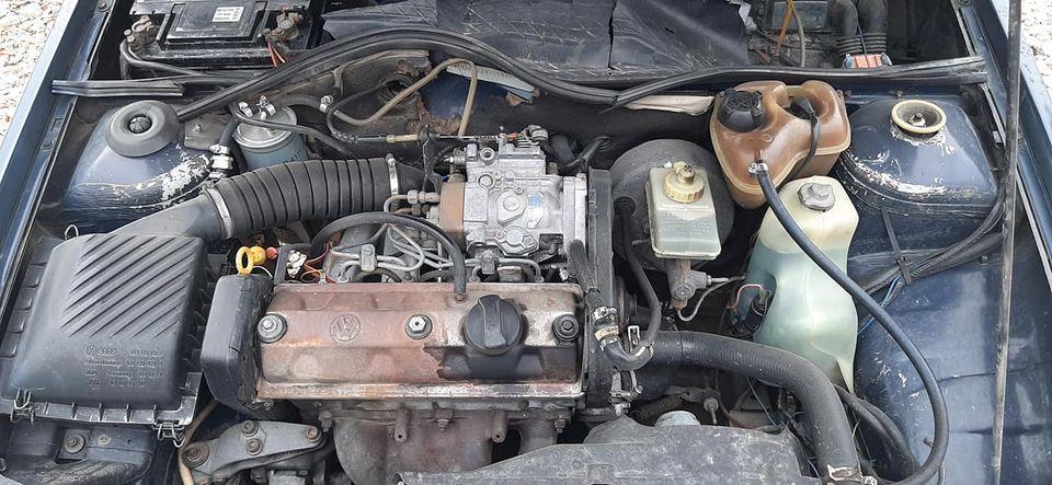 VW-Polo