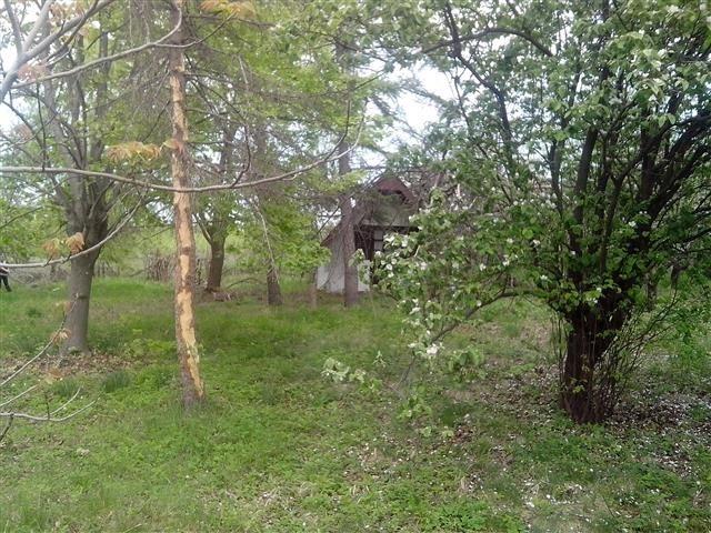 Se-odlični--placevi---u-Kragujevcu