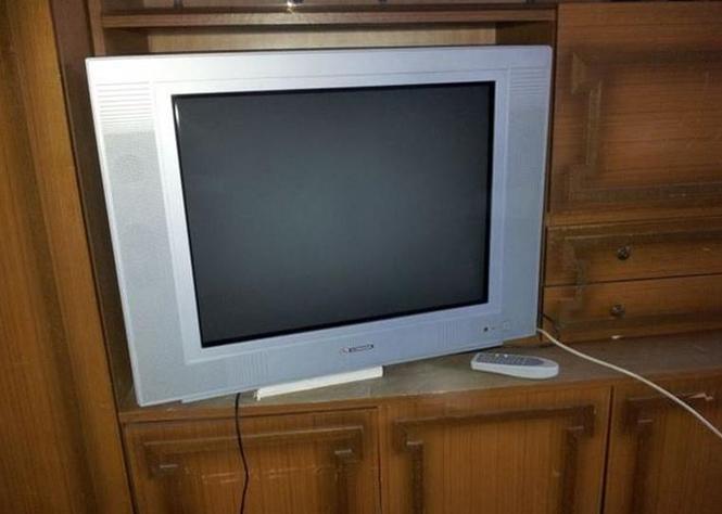 TV Schneider