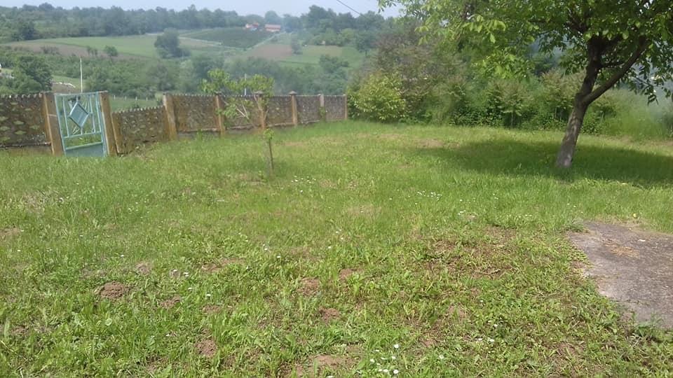 Kucu