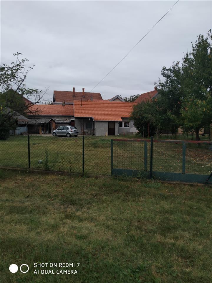 kuca