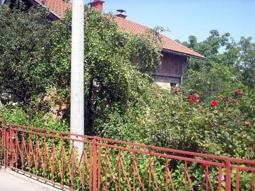 Kuca-u-Sarajevu