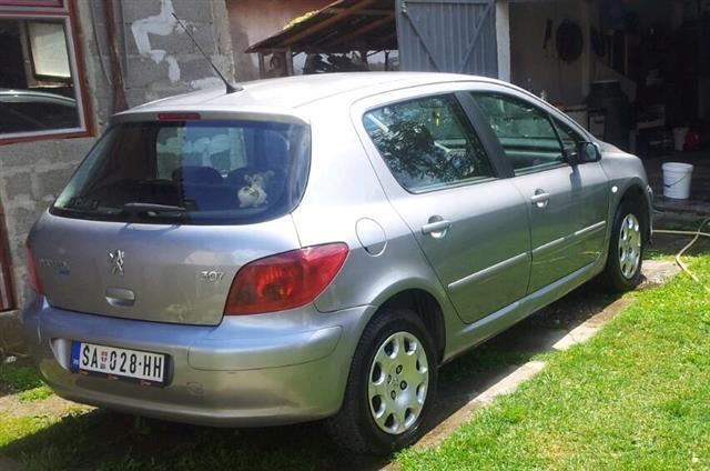 Peugeot-307-1-4--04-