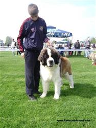 Kovachevkennel