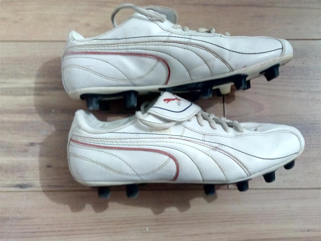 Kopacke-Puma