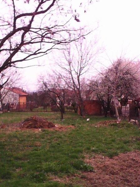 Plac-u-Mladenovcu