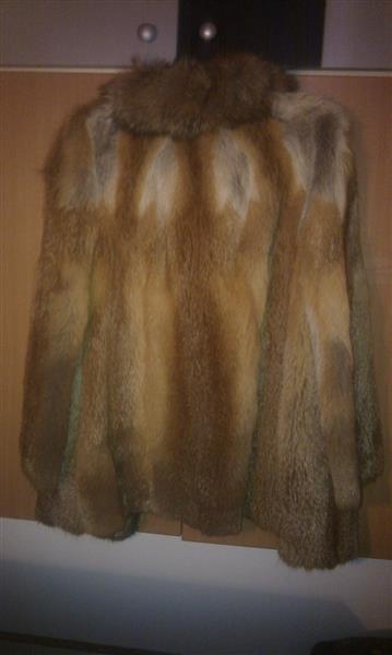 Bunda-kratka-