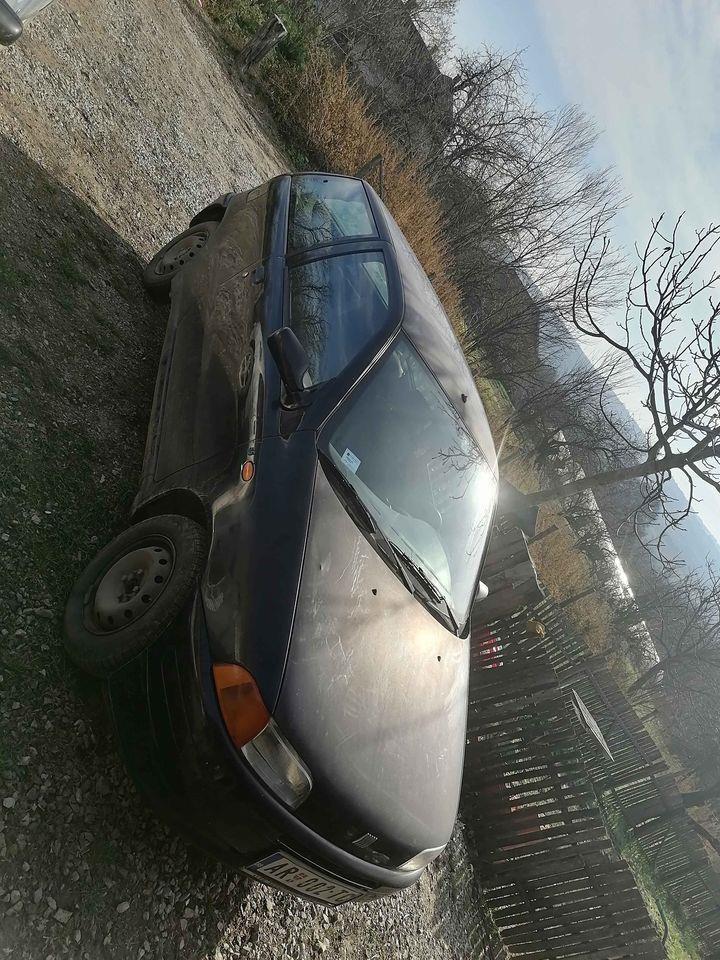 Punto-1