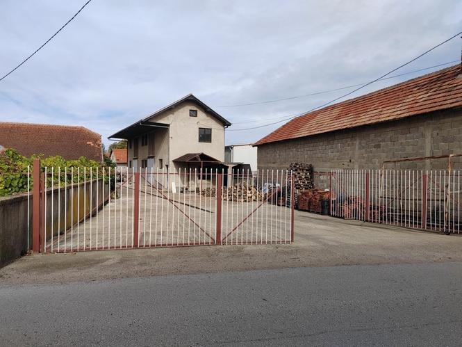 Izdajem halu 