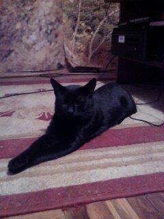 macka