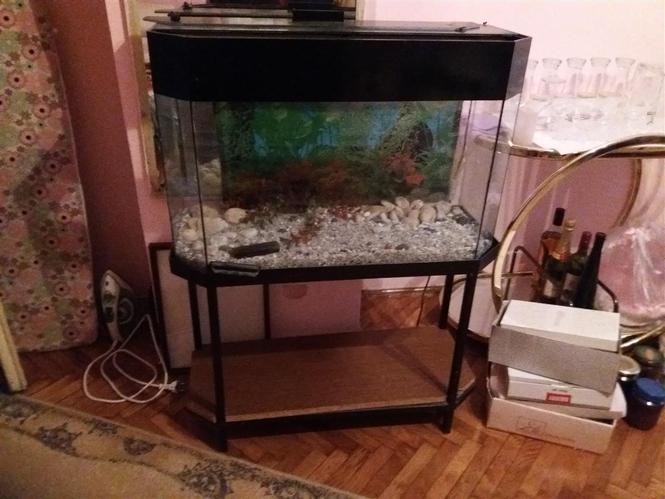 Prodajem Aquarium 