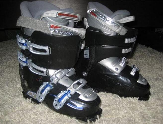 Pancerice Nordica