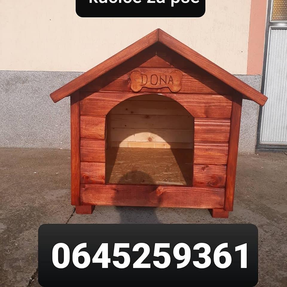 Kucice-za-pse
