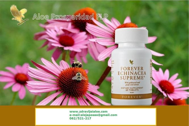 FOREVER Ehinacea Supreme Ekstra