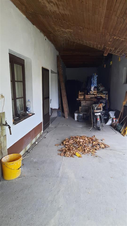 bački-vinogradi