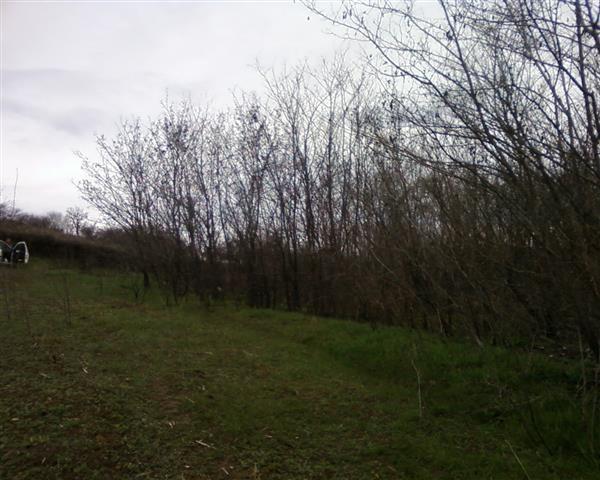 PLAC NJIVA PUDARCI