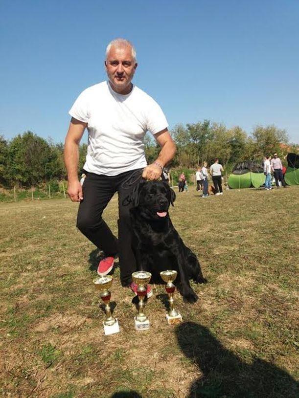 Labrador-retriver-