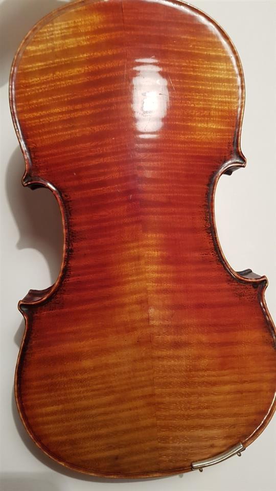 Violina