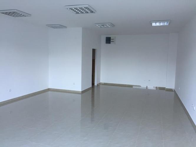 Adaptacije stanova i poslovnih prostora